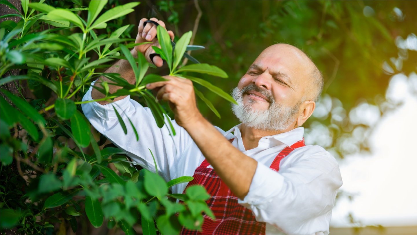 Glory- Professional-Services-Environmental Services-1440x810