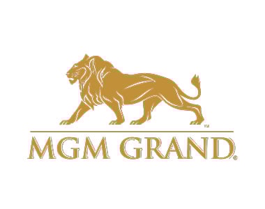 MGM Grand-LOGOS_380 x 300_54