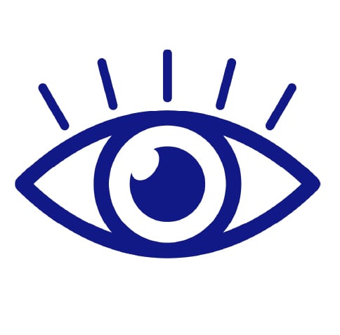 Enterprised Managed Icons 484x477_Enterprise-wide