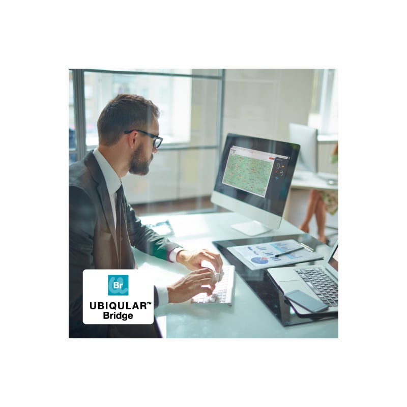 UBIQULAR Bridge Retail-800x800